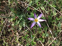 anobello-01042012 014